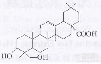 無患子三萜皂苷