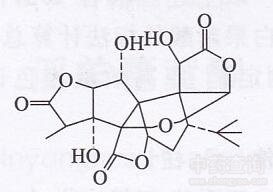 銀杏葉二萜內酯