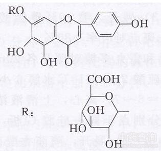 辣蓼黃酮