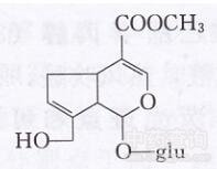 栀子環烯醚萜苷