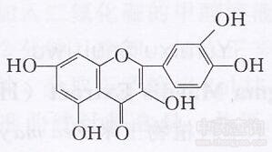 葉下珠黃酮