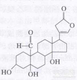 葶苈子強心苷