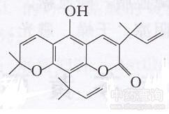 黃皮香豆素