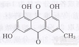 何首烏蒽醌