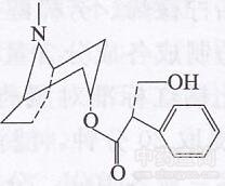 華山參生物鹼