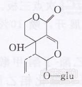 獐牙菜裂環烯醚萜苷