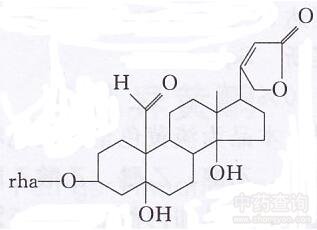 福壽草強心苷