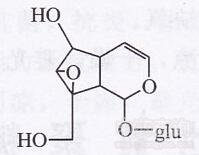 地黃環烯醚萜苷