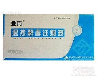 退熱解毒注射液